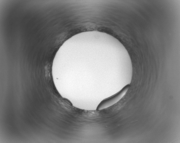 X0000059780768200511181421