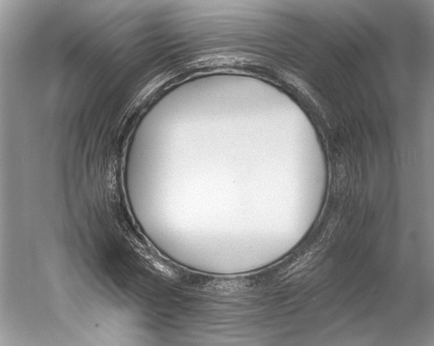X0000059780778200511181420