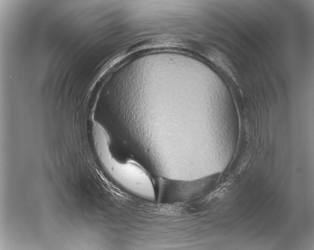 X0000059780781200511181420