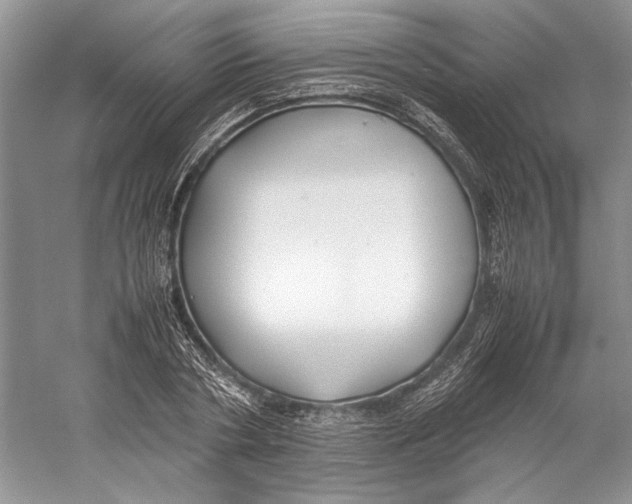 X0000059780786200511181420