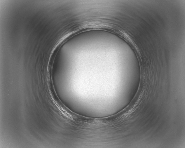 X0000059780787200511181420
