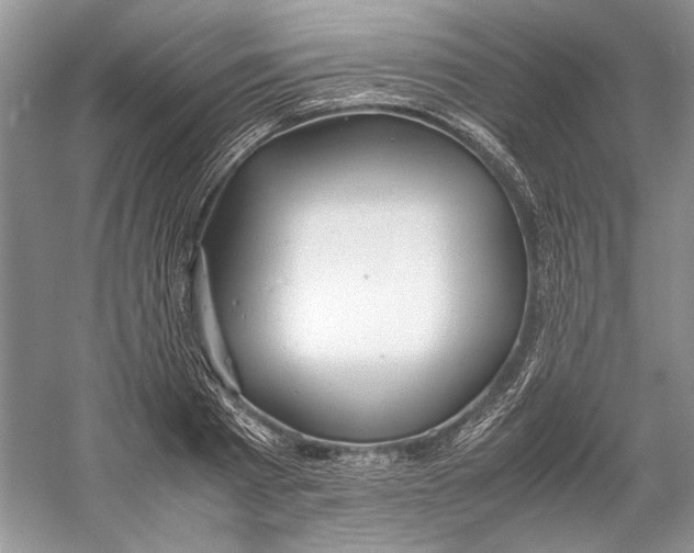 X0000059780793200511181420