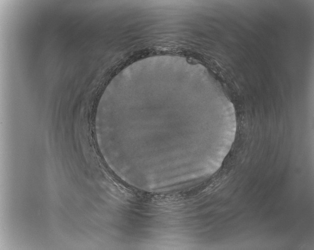 X0000059780817200511181419