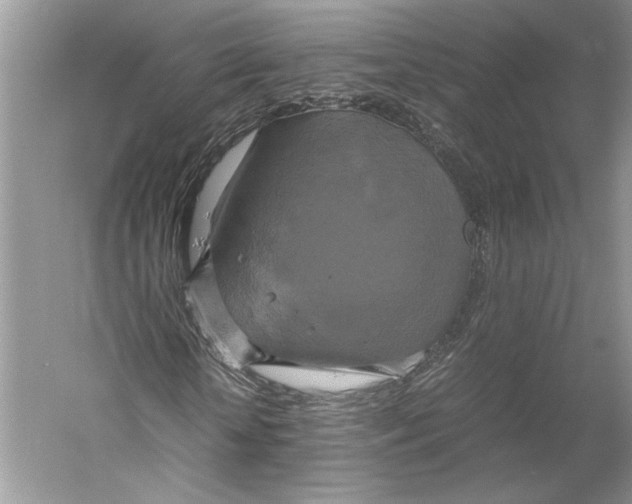 X0000059780818200511181419