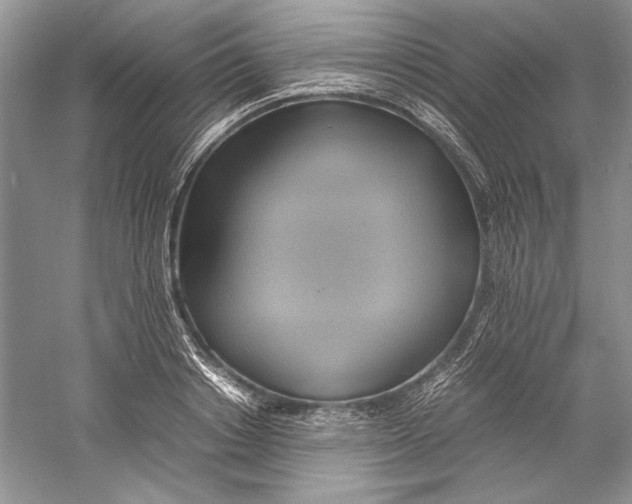 X0000059780842200511181419