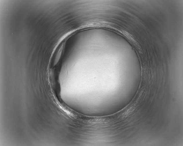 X0000059780846200511181419