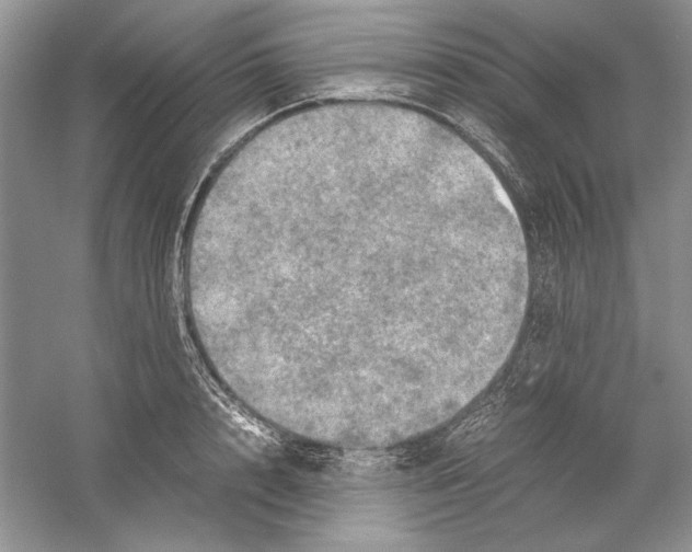 X0000059780848200511181419