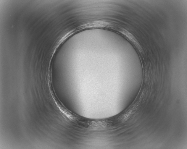 X0000059780850200511181419