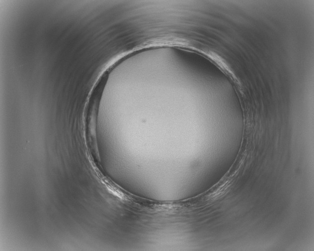 X0000059780854200511181419