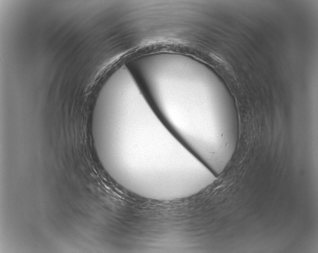 X0000059780872200511181419