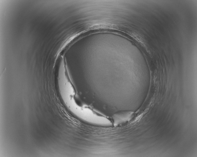 X0000059780877200511181418