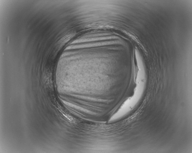 X0000059780881200511181418