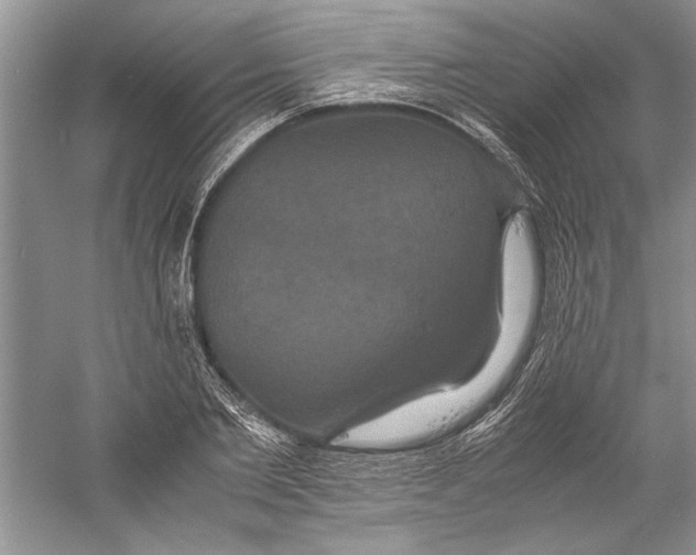 X0000059780885200511181418