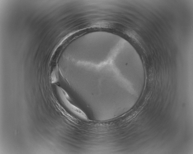 X0000059780923200511181417