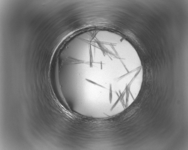 X0000059780924200511181417