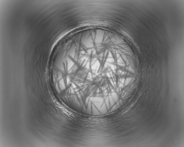 X0000059780928200511181417