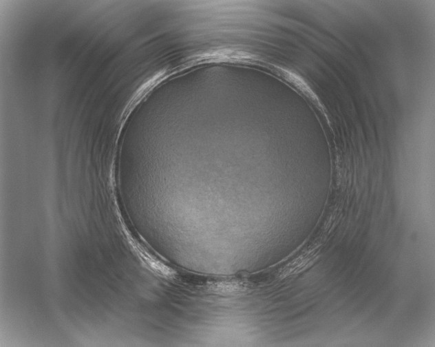 X0000059780946200511181418