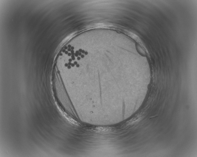 X0000059780954200511181418