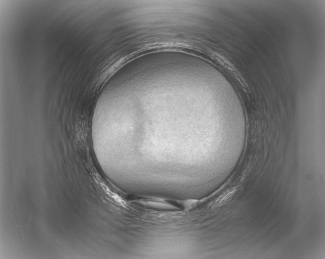 X0000059780985200511181417