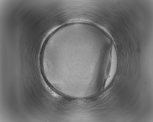 X0000059780995200511181416