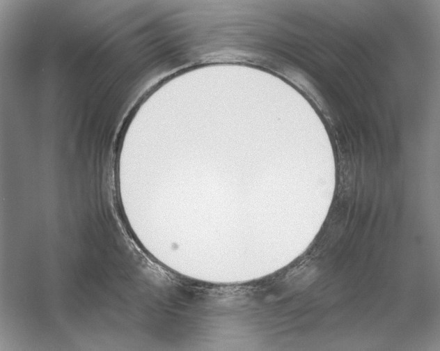 X0000059781000200511181416