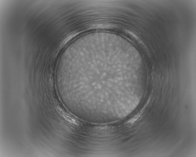 X0000059781025200511181416