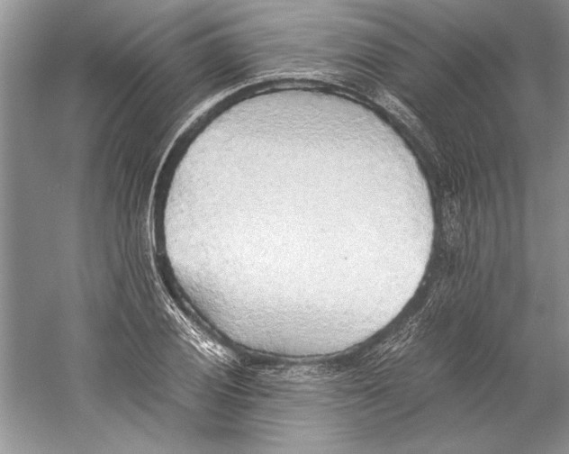 X0000059781028200511181416