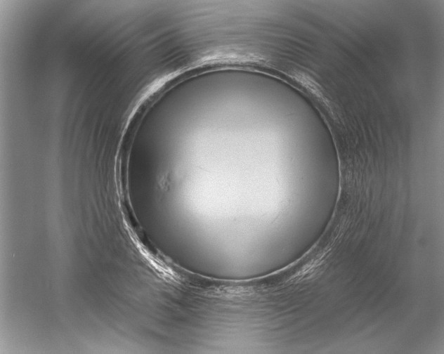 X0000059781030200511181416