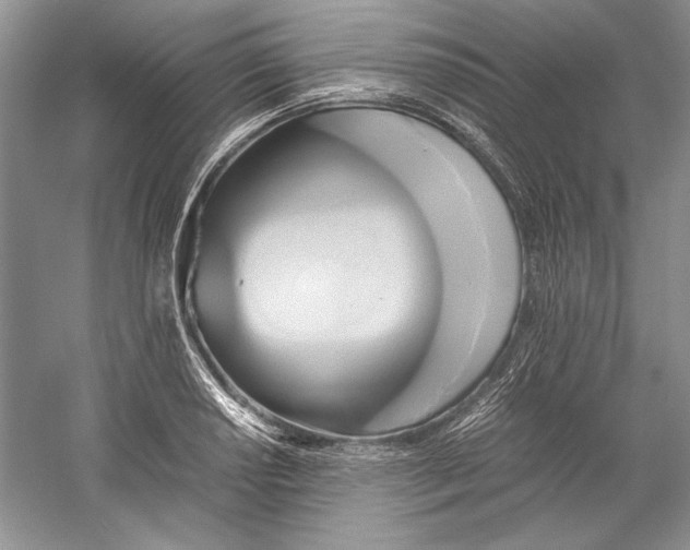 X0000059781034200511181416