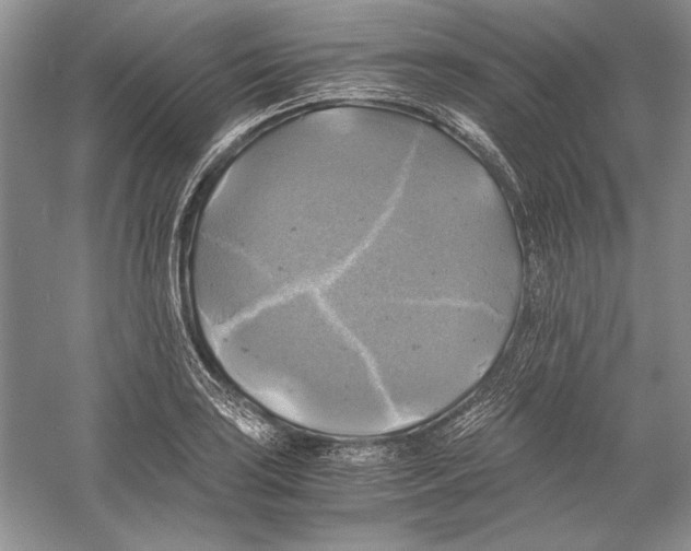 X0000059781035200511181416