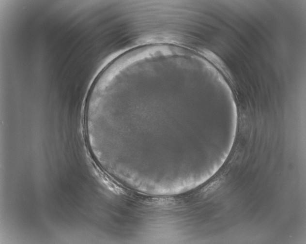 X0000059781052200511181416