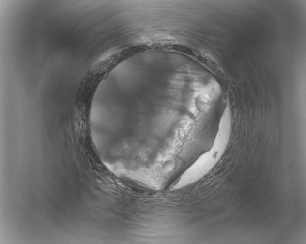 X0000059781063200511181415