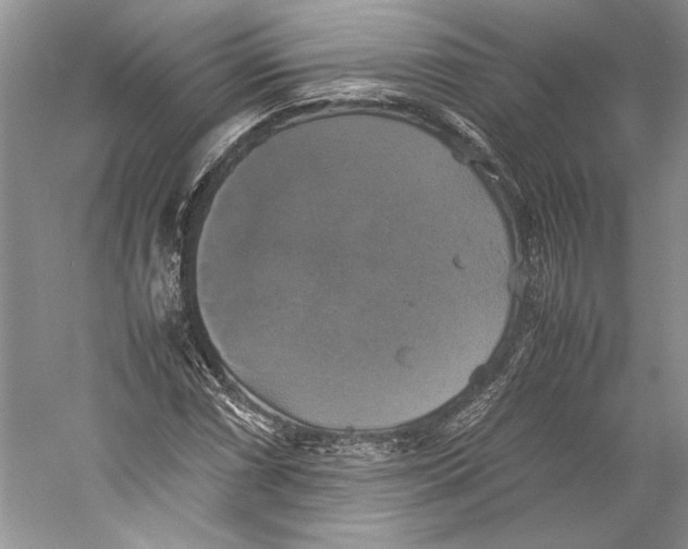 X0000059781066200511181415