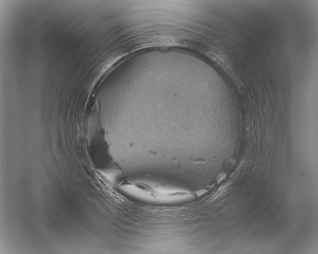 X0000059781081200511181415