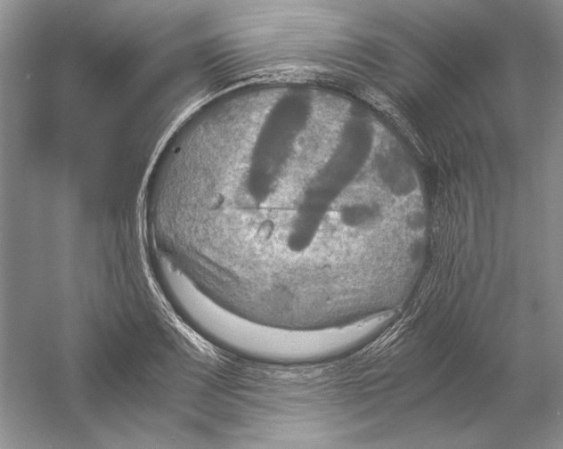 X0000059781083200511181415