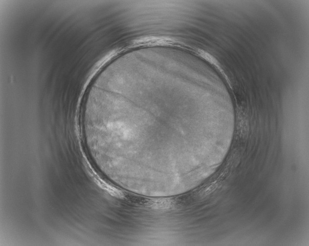 X0000059781090200511181415