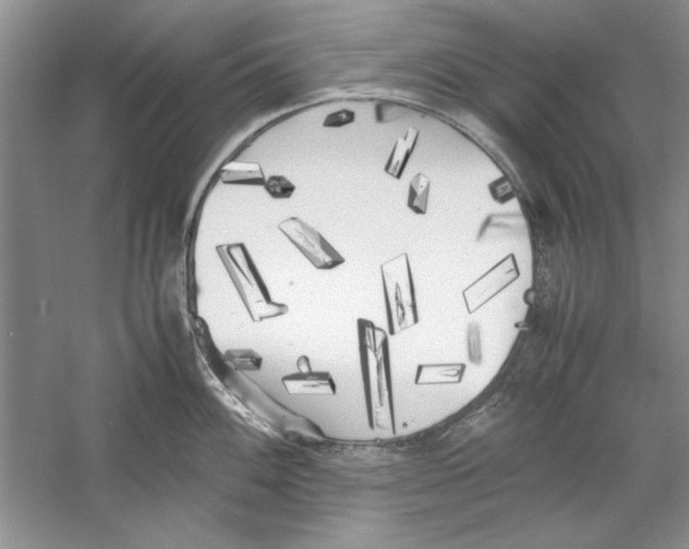 X0000059781100200511181415