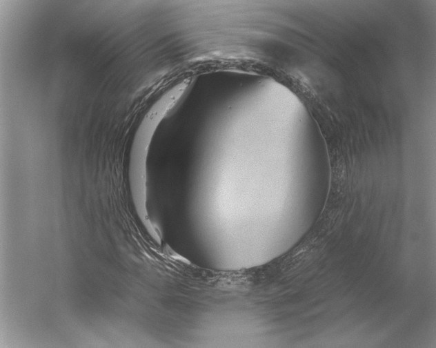 X0000059781110200511181414