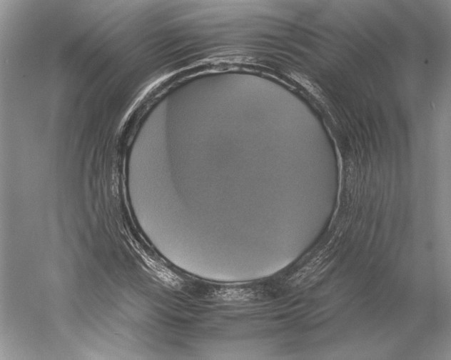 X0000059781115200511181414