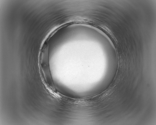 X0000059781128200511181414