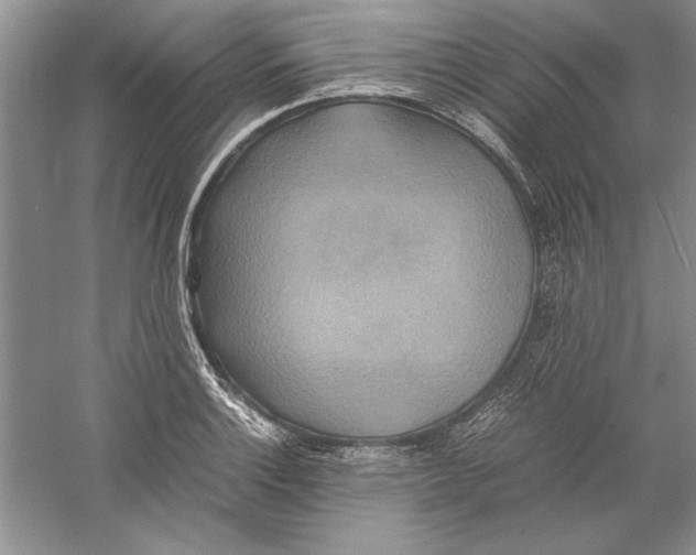X0000059781132200511181414