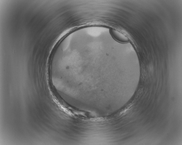 X0000059781142200511181414