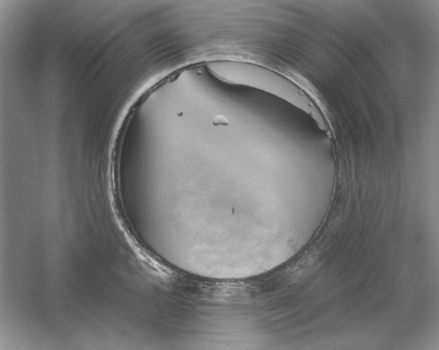 X0000059781144200511181414