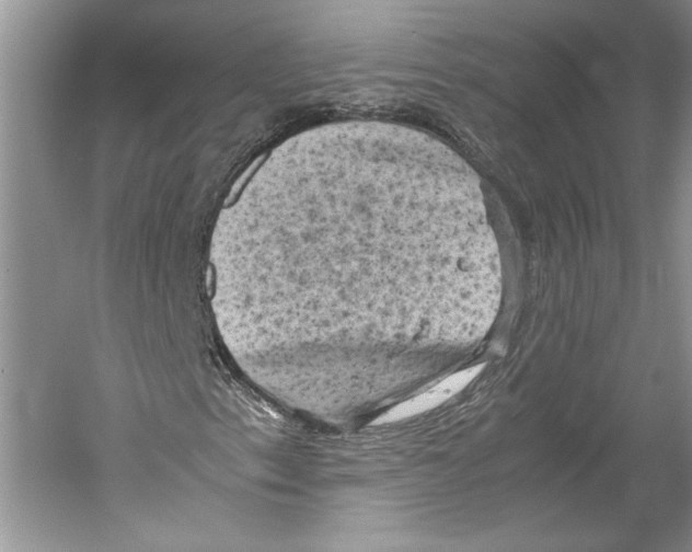 X0000059781153200511181414