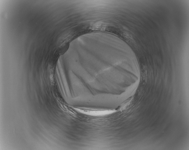 X0000059781154200511181414
