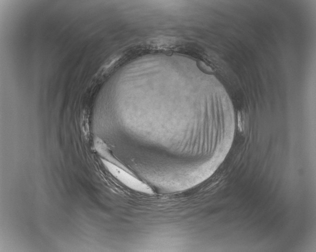 X0000059781155200511181414
