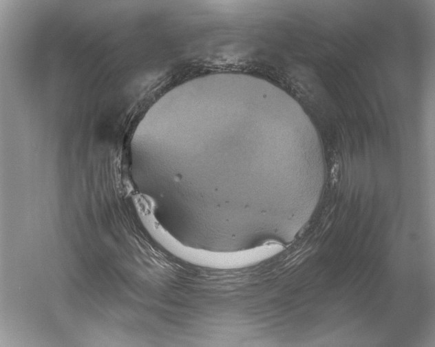 X0000059781156200511181414
