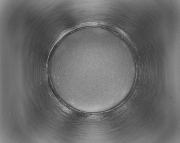 X0000059781178200511181413