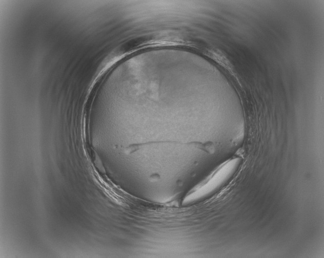 X0000059781179200511181413