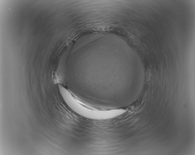 X0000059781202200511181412